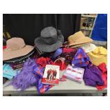Hats, Scarves, Purses,  Tiaras and more great for