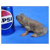 Vintage cast iron frog.  3' H.