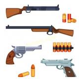 Have Gun...Will Auction!