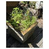 Outdoor Garden Planter Box with Fern Motif