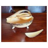 Seashell Bowl & Ladle