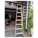 Green Bull 8ft Ladder