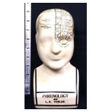 9in phrenology head