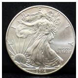 2014 silver eagle coin