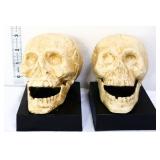 Pair cast iron horse head bookends