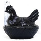 Small black hen on nest