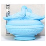 Westmoreland blue satin lovebirds on nest