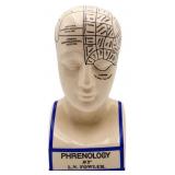 10.5in phrenology head