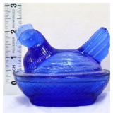 Small cobalt hen on nest