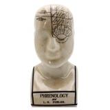 8.5in phrenology head
