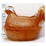 Amber marble hen on nest