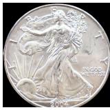 2004 silver eagle coin