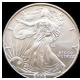 2005 silver eagle coin