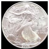 2004 silver eagle coin