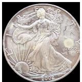 2002 silver eagle coin