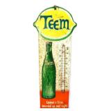 Vntg metal 12x28 Teem thermometer