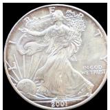 2001 silver eagle coin