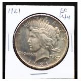 1921 peace dollar