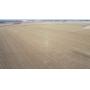  507.23 Acre Adams & Hall County 5 Tracts Irrigated Land Auction