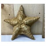 Genuine Dried Star Fish