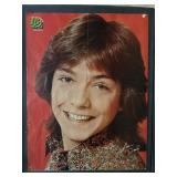 David Cassidy Pop Out Poster 16 Magazine- 17'x22'