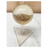 Small Acrylic Fossil Decor