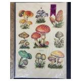 Meyercord Mushroom Decorator Decals 1520-E