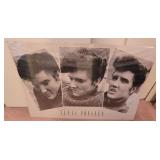 New Elvis Print 35'Lx24'H