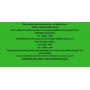 MARCH CONSIGNMENT AUCTION