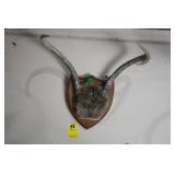 DEER ANTLER SKULL CAP RACK MOUNT