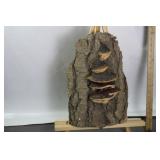 NATURAL TREE BARK & MUSHROOM DECOR 15'X11'