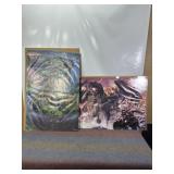 2 FANTASY DRAGON POSTERS