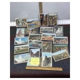 21 YELLOWSTONE VINTAGE & ANTIQUE POST CARDS