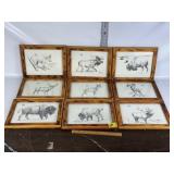9 FRAMED WILDLIFE PICTURES, 14" X 11"