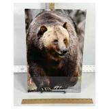 GRIZZLY BEAR WALL ART PHOTO ON METAL, 12" X 18"