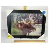 MOOSE TRIPLE IMAGE 3D PICTURE, 18 1/2" X 14 1/2"