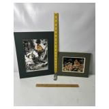 2 CARDINAL BIRD MATTED PRINTS