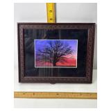 FRAMED SUNSET TREE PICTURE, 10" X 8"