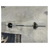 BICEP CURL BAR W/ WEIGHTS