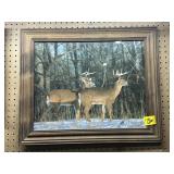 FRAMED WHITETAIL DEER PICTURE, 24 1/2' X 20 1/4'