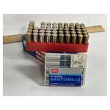 48 RNDS RELOADED .44 AMMO, 10 SHOTSHELL .44 MAG