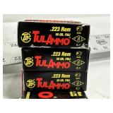 80 RNDS TULAMMO .223 REM 55GR AMMO