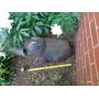 YARD DECOR - METAL FROG - FY