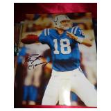 8"X10" (NO CERT) - PEYTON MANNING