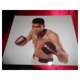 8"X10" (NO CERT) - MUHAMMAD ALI
