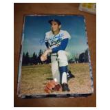 8"X10" NO COA - SANDY KOUFAX