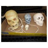 SKULLS