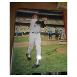8"X10" NO COA - WILLIE MAYS