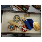 PINS