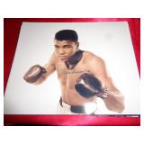 8X10 NO COA - MUHAMMAD ALI
